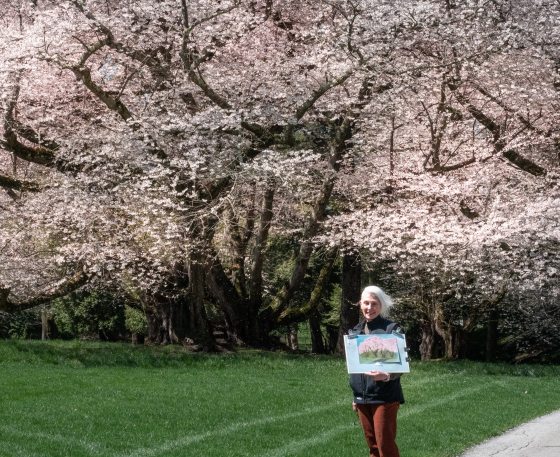 A person walking down a paved path in a garden with blooming cherry blossom trees in the distance.